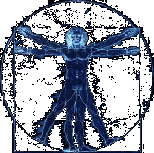 vitruvius